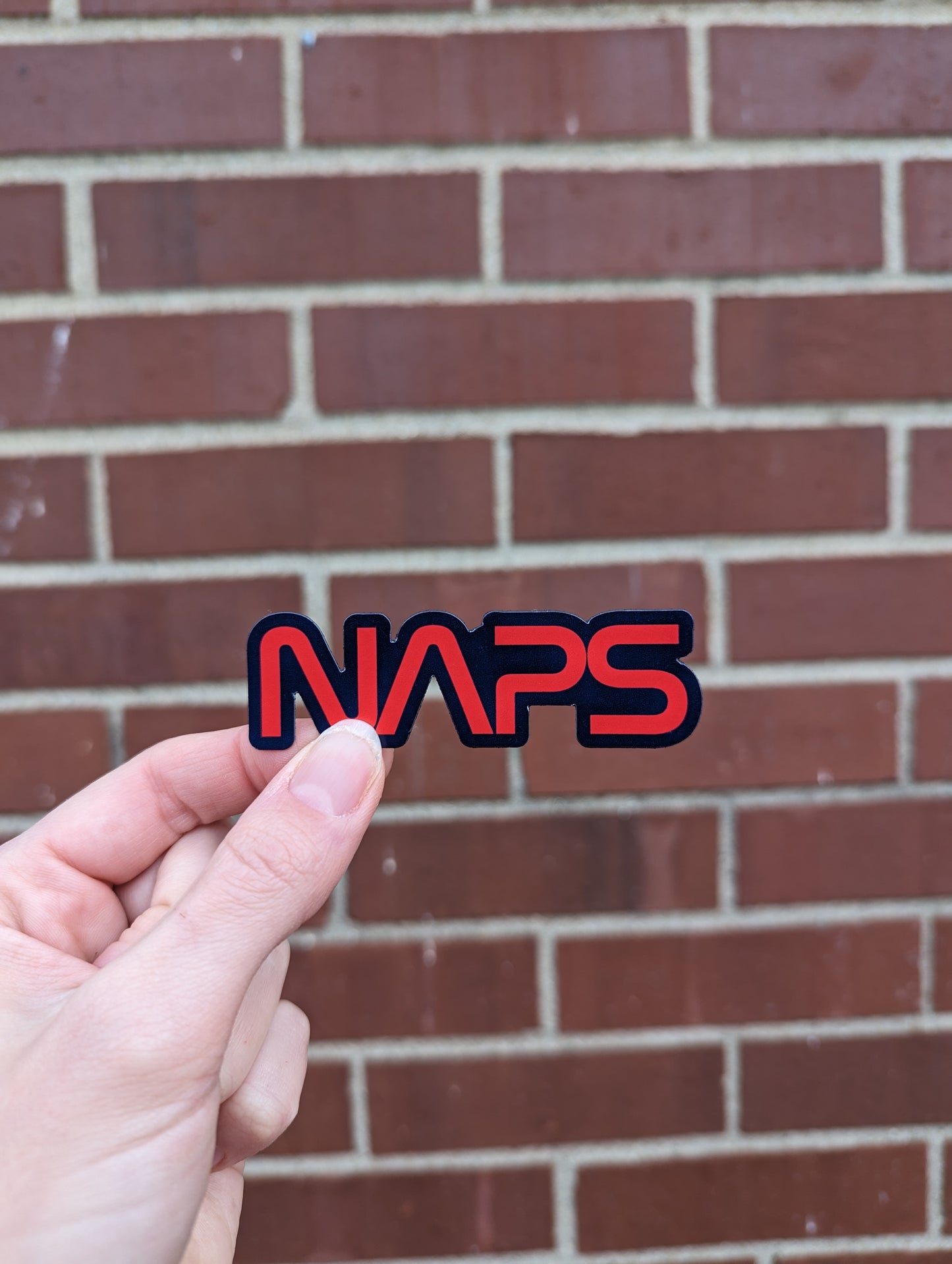 Naps Vinyl Magnet