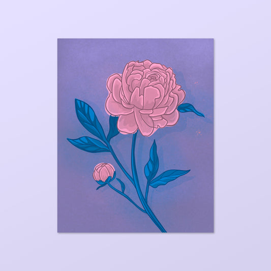 Peony Art Print